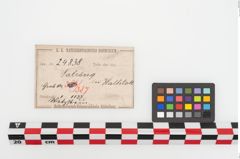 Etiketten zu Schleifstein (NHMW-PRAE-024838)